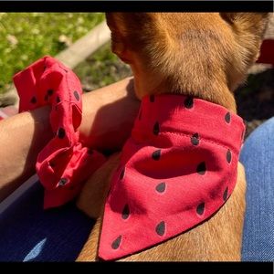 Matching Watermelon Snap on Dog Bandana & Scrunchie, bandana & Scrunchy Set